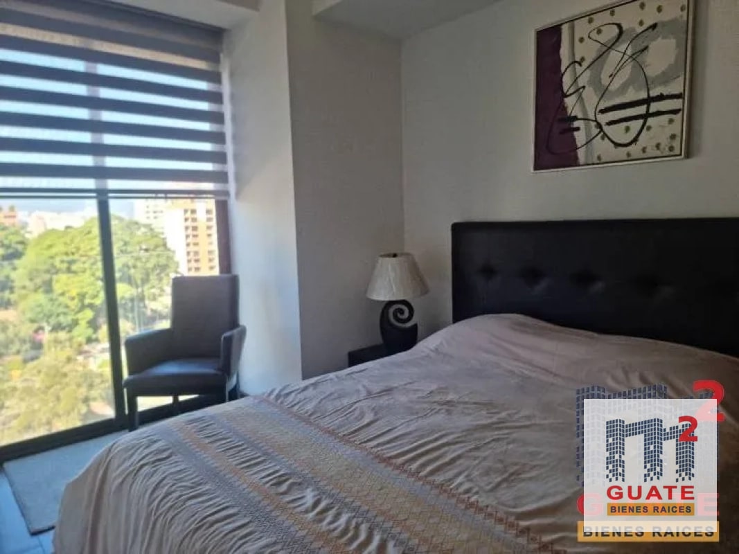 Apartamento en Renta, Zona 10 - 5