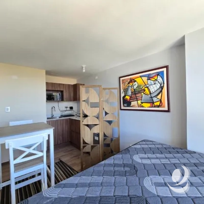¡¡¡Precioso Apartamento tipo Estudio en Renta Zona 2 de Mixco, Calzada Roosevelt!!! - 7