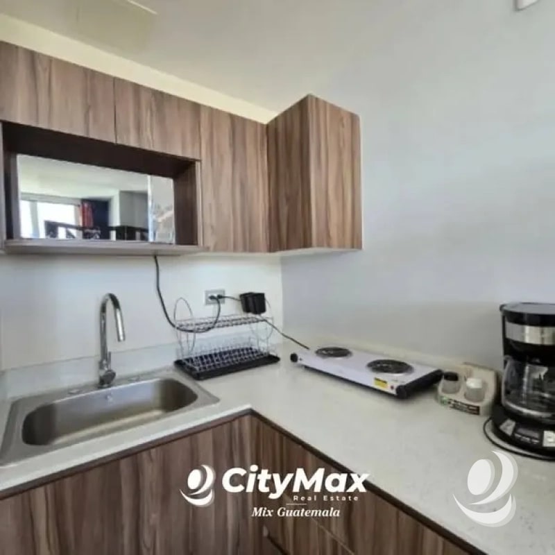 Apartamento amueblado en renta, Colonia Santa Rita, z.2 Roosevelt - 4