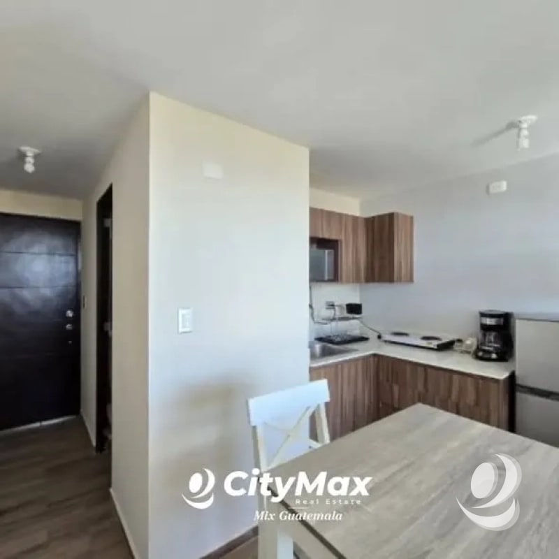 Apartamento amueblado en renta, Colonia Santa Rita,  z.2 Roosevelt - 3