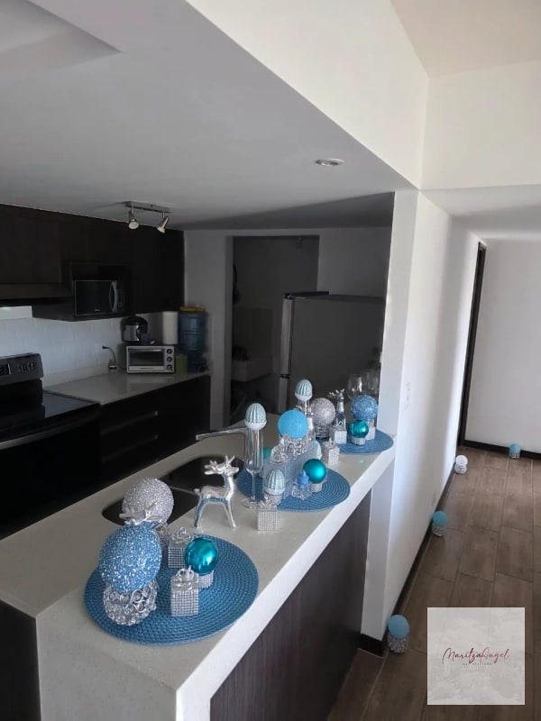 RENTA DE APARTAMENTO EN CONDADO EL NARANJO.  EDIFICIO ALEGRIA - 8
