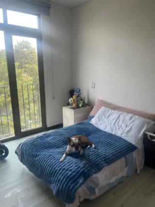 RENTO APARTAMENTO, Lirios de Cayalá zona 16 — Apartamento en Alquiler en Lirios de Cayalá II, Zona 16, Guatemala, Ciudad — miniatura 1 de 6