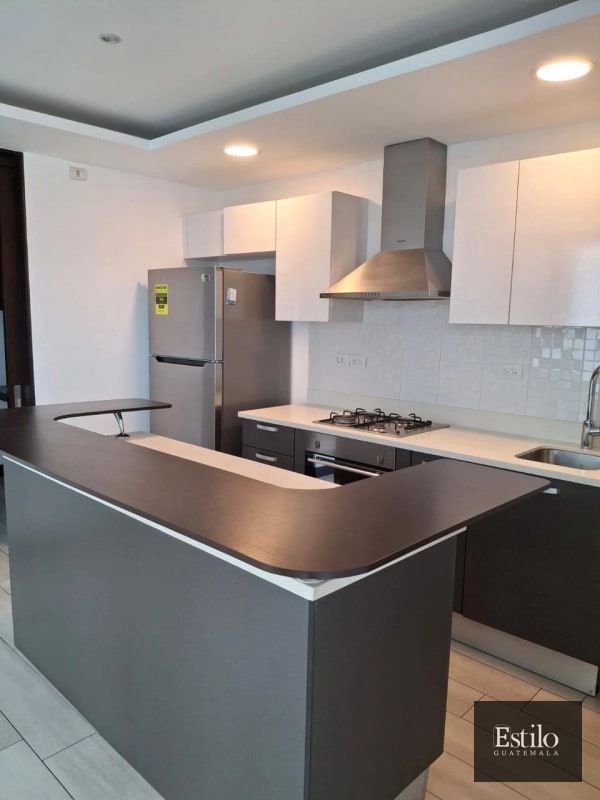 APARTAMENTO EN ALQUILER ZONA 15 - 1