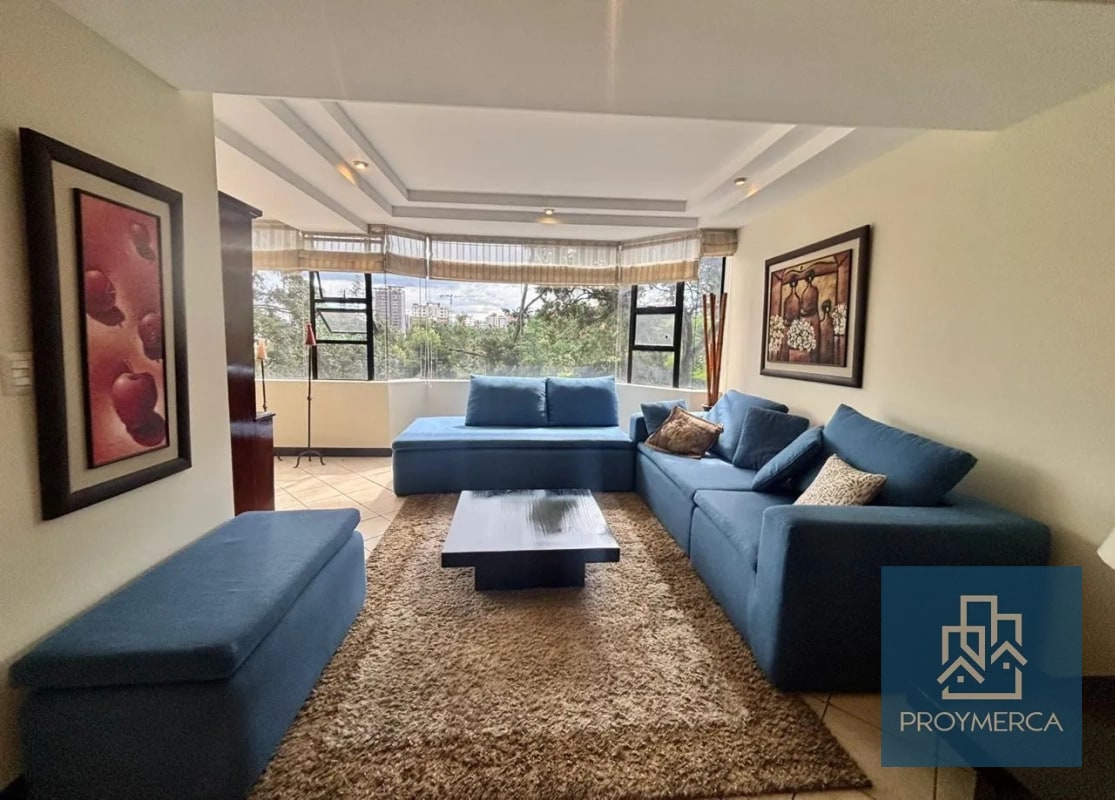 Apartamento amueblado en alquiler, Edificio Milenia, Zona 10 - 1