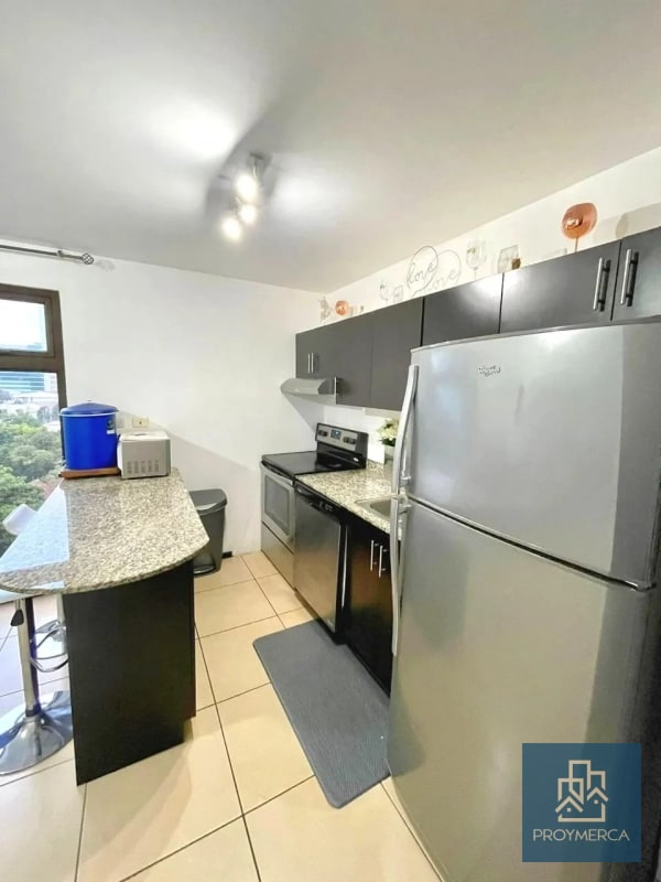 Apartamento amueblado en alquiler, Edificio Madeleine, Zona 10 - 7