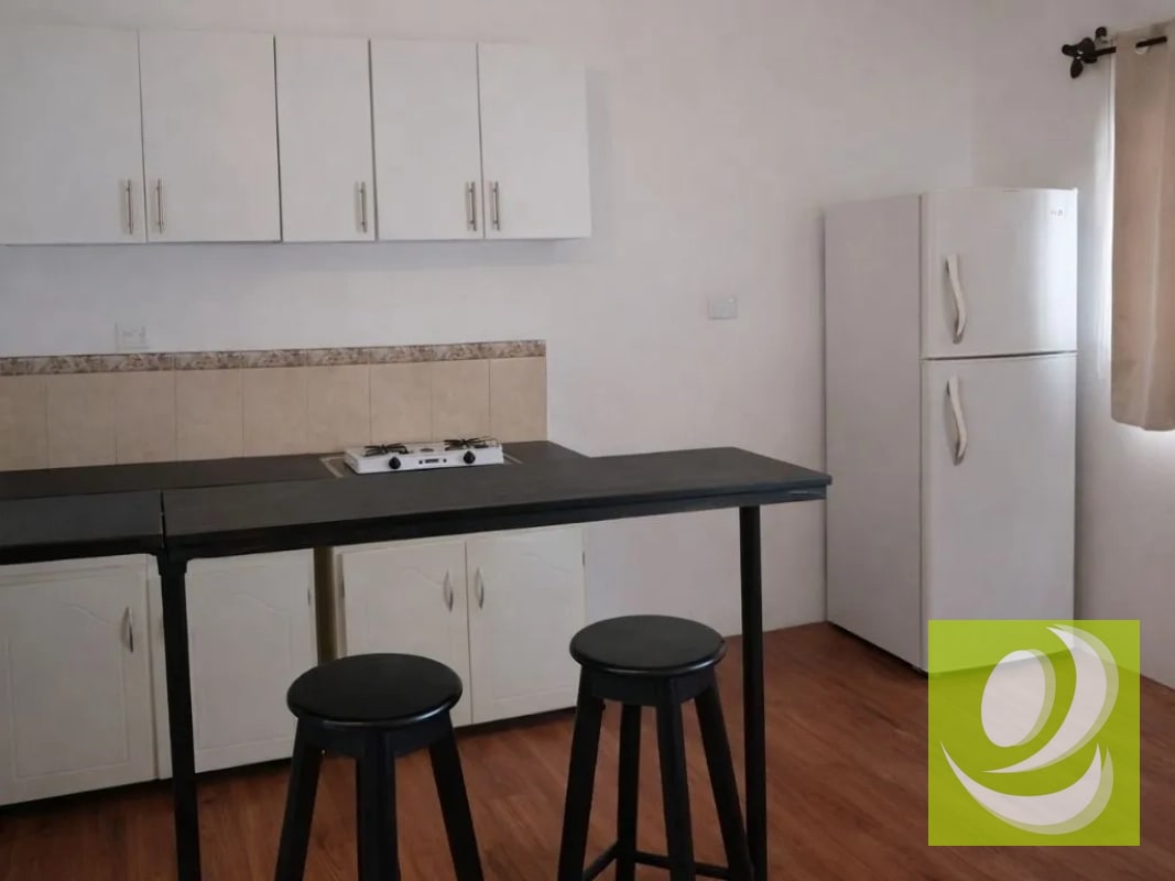 Apartamento en Renta en El Sauce zona 2 cdad - 6