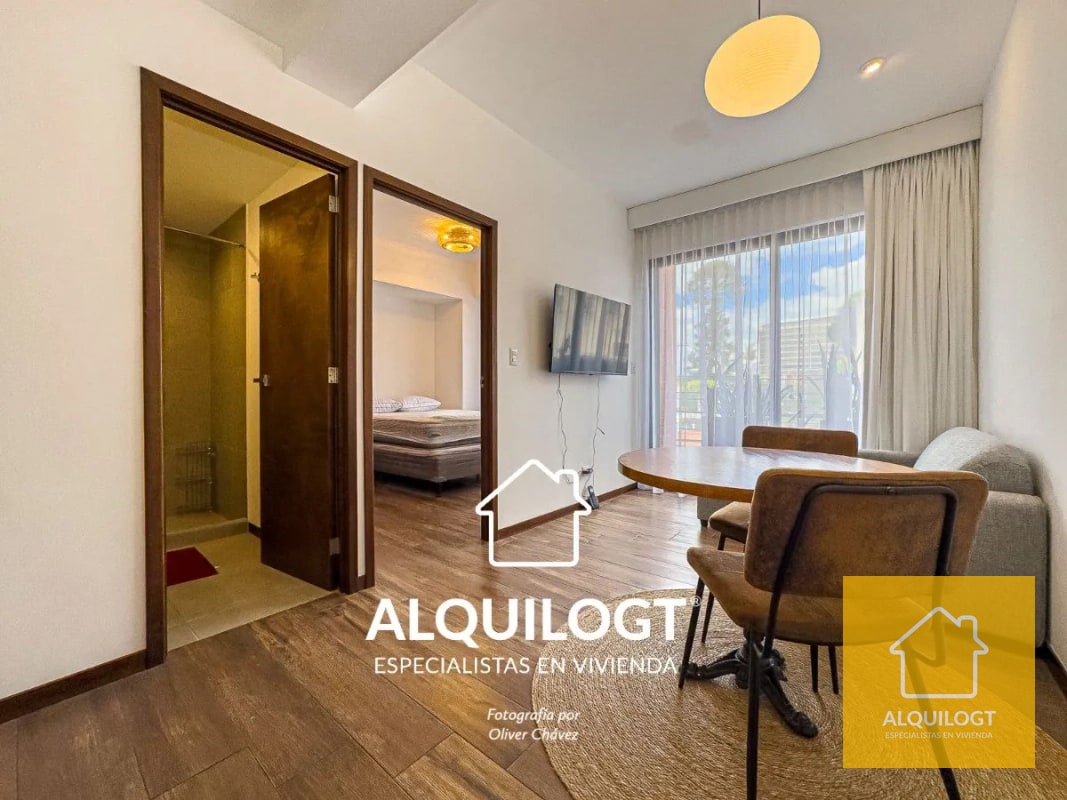 APARTAMENTO AMUEBLADO ZONA 10 DE 2 HAB AGT2905 - 15