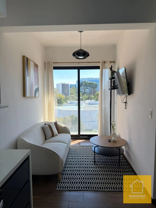 APARTAMENTO AMUEBLADO ZONA 10 DE 2 HAB AGT2905 - 1