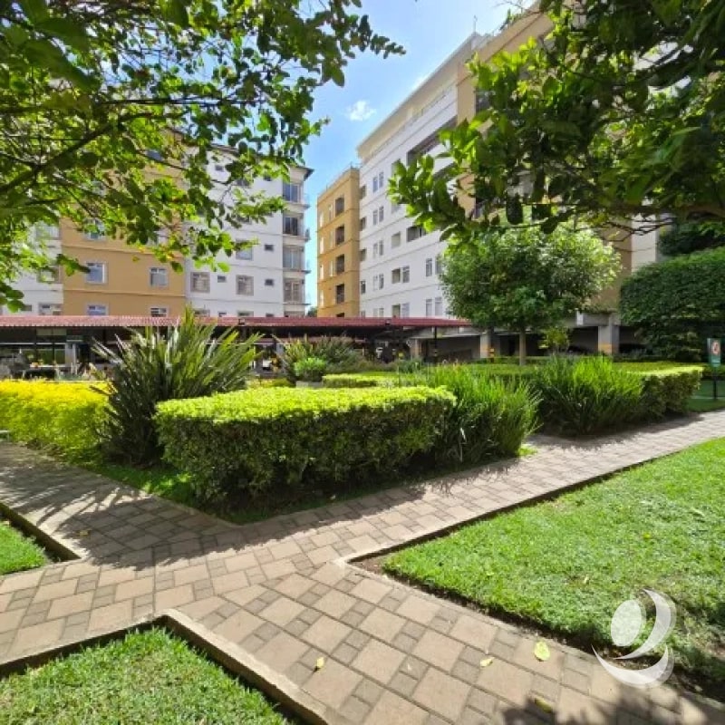 Apartamento en Renta Zona 11 Santa Maria de Las Charcas - 2
