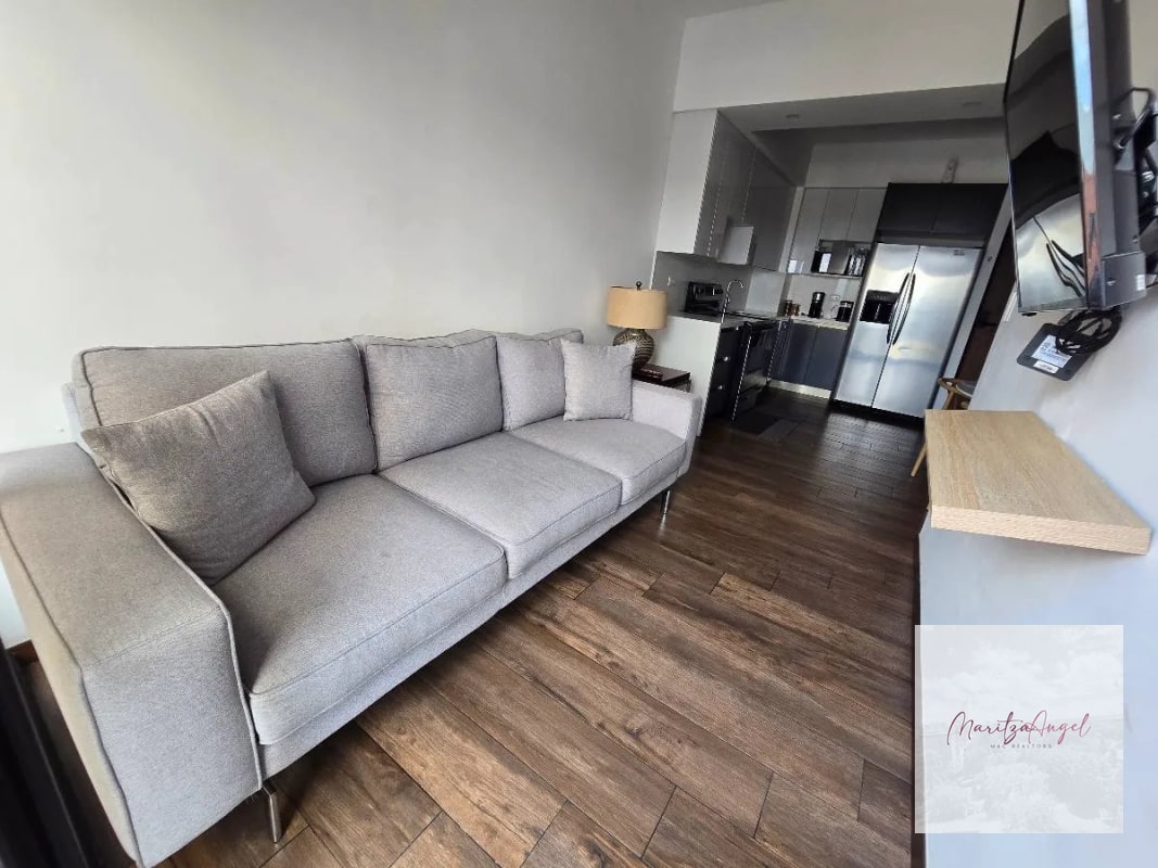 APARTAMENTO AMUEBLADO EN RENTA , EDIFICIO BRUNELO - 5