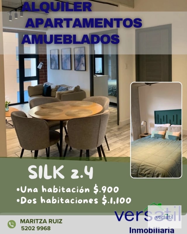 Apartamentos AMUEBLADOS de una o dos habitaciones SILK zona 4 - 2