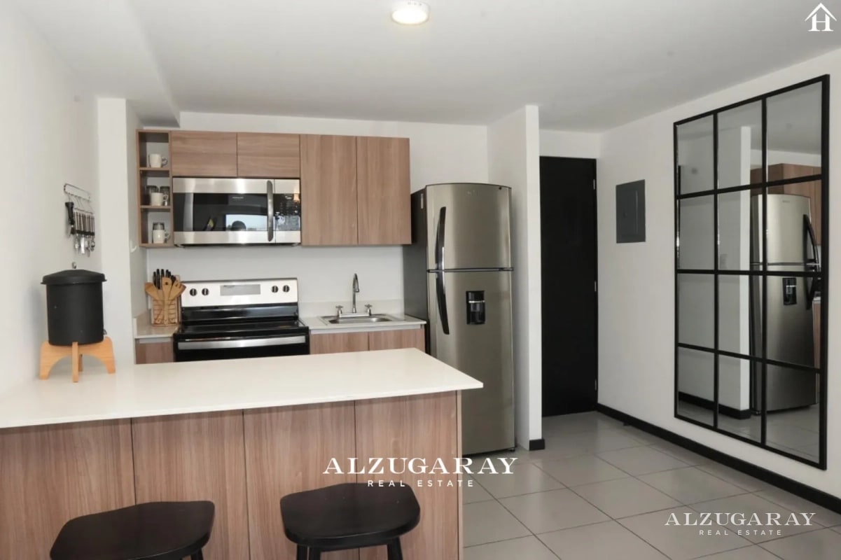 APTO. MODERNO, AMUEBLADO 2 HAB. /EDIFICIO MERAKI Z 14 - 9