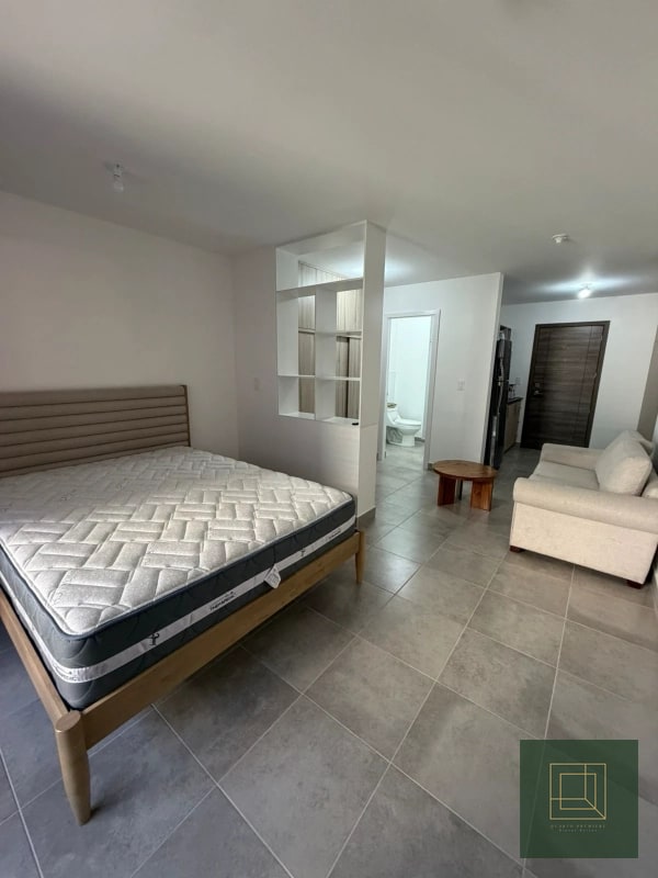 Apartamento tipo estudio en renta zona 4 - 10