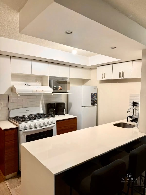 Zona 11 • Apartamento Amueblado en Renta • Edificio Aralia 1 - 6