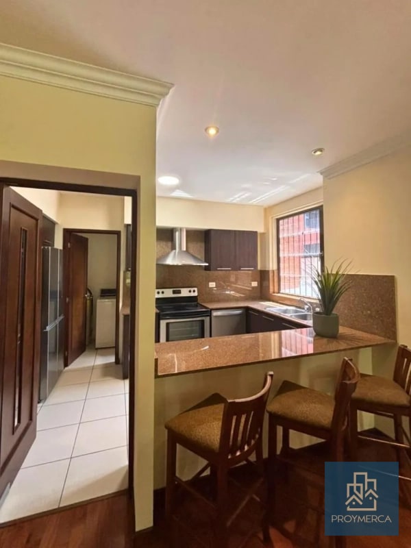 Apartamento con jardín en venta, Edificio Plenum 5ta Avenida Zona 14 - 10