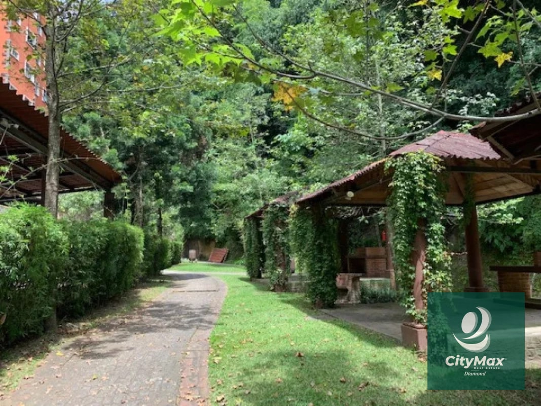 Apartamento en Renta y Venta en zona 13 - 16