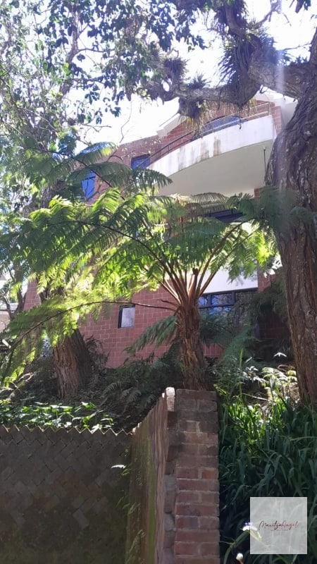 ALQUILER DE APARTAMENTO EN CARRETERA A EL SALVADOR VILLA CAFETTO - 4