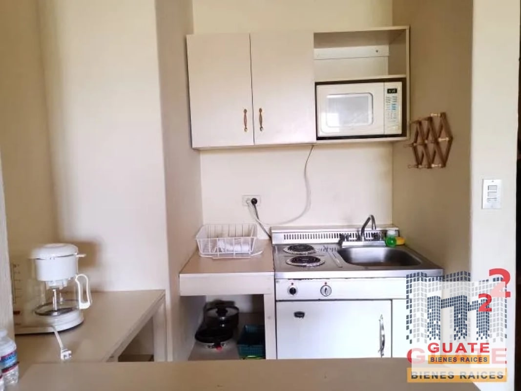 Apartamento en Renta, Zona 14 - 4