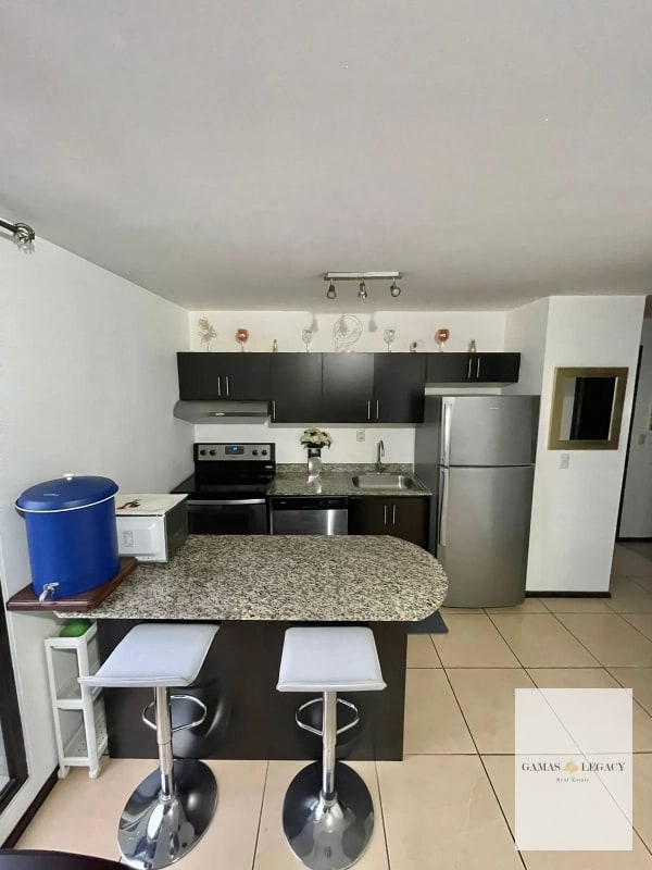 Apartamento Amueblado en renta I Edificio Madeleine I Zona 10 - 9