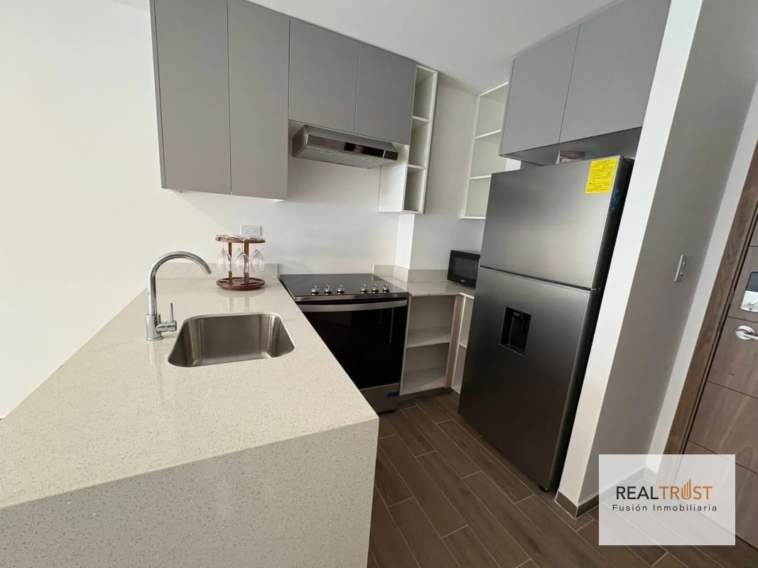 Apartamento en renta Parque 14 zona 14 - 11