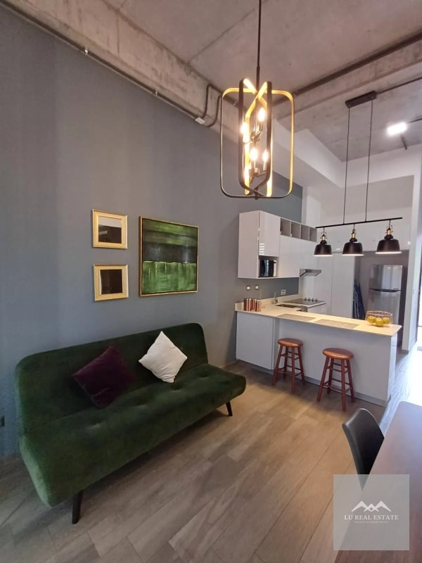 Apartamento de una habitación amueblado en z16 - 3