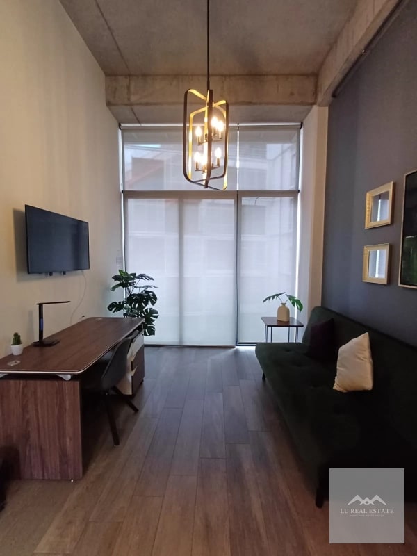 Apartamento de una habitación amueblado en z16 - 2
