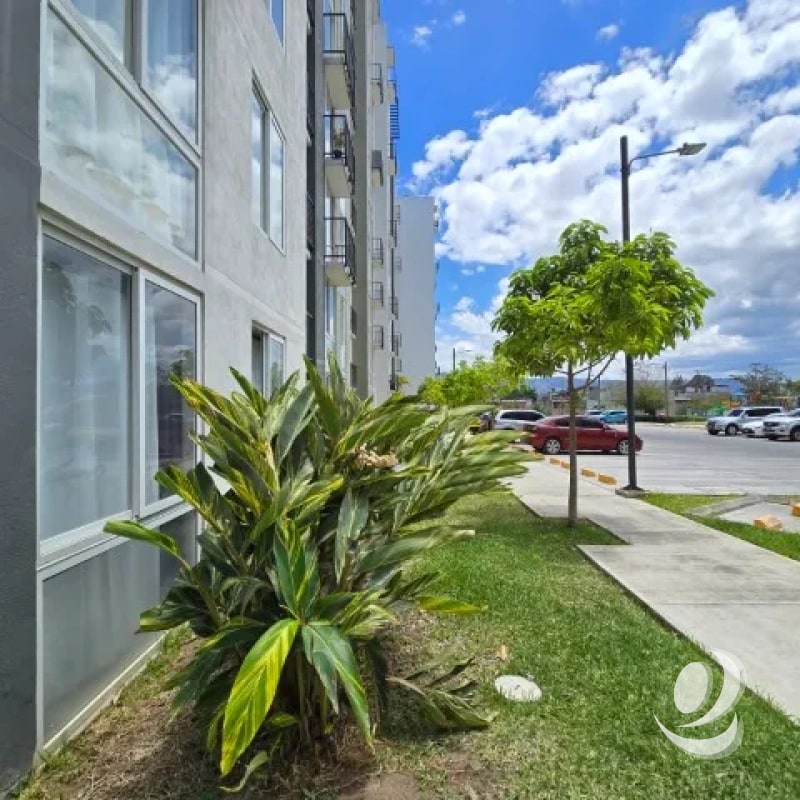 ¡¡¡Bonito Apartamento en Renta Villa Nueva Solana Entre Valles!!! - 6