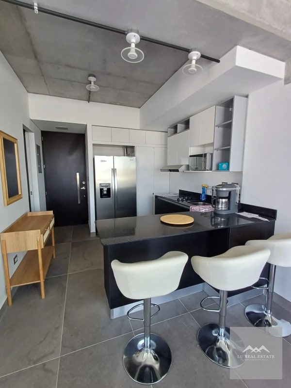 Apartamento amueblado de dos habitaciones z10 - 6