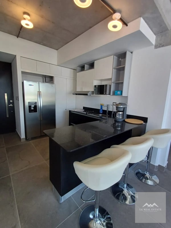 Apartamento amueblado de dos habitaciones z10 - 4