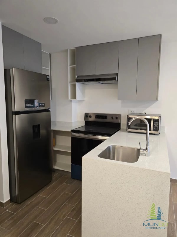 APARTAMENTO EN RENTA PARQUE 14 - 1