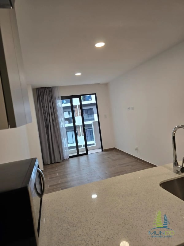 APARTAMENTO EN RENTA PARQUE 14 - 4