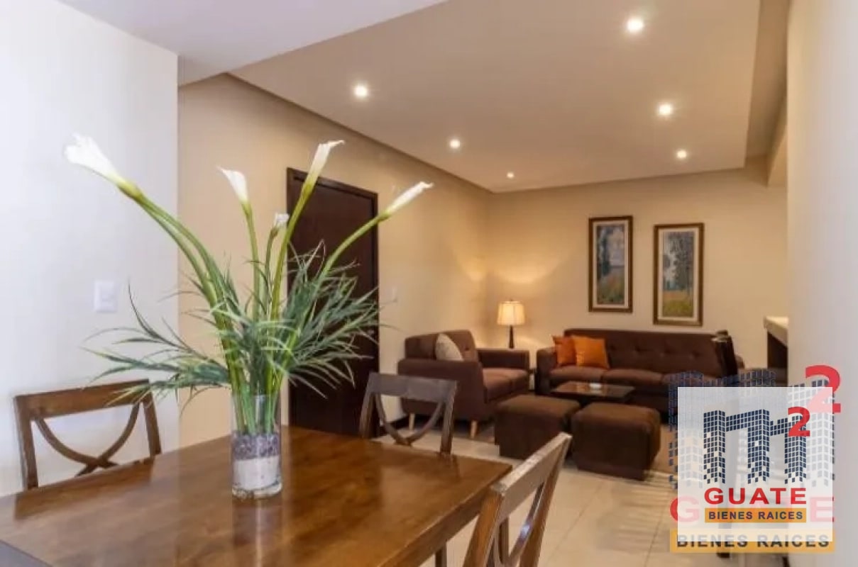 Apartamento en Renta, Zona 14 - 9
