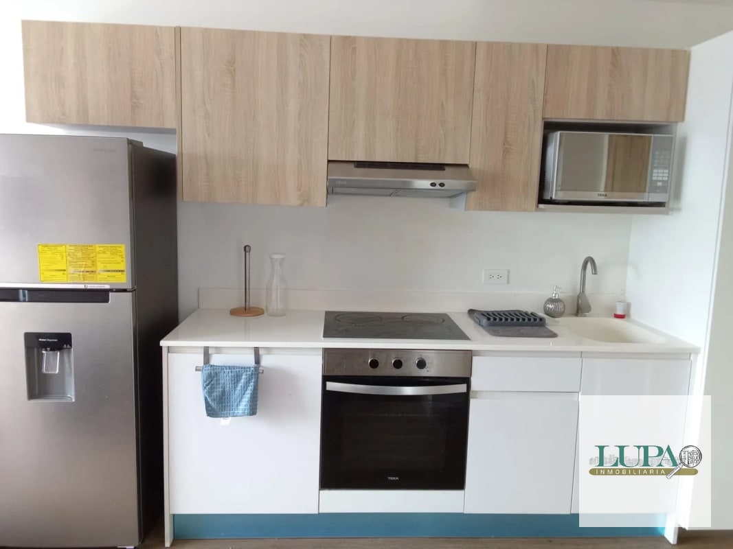 Apartamento en renta en Vivo 4 zona 4 - 3