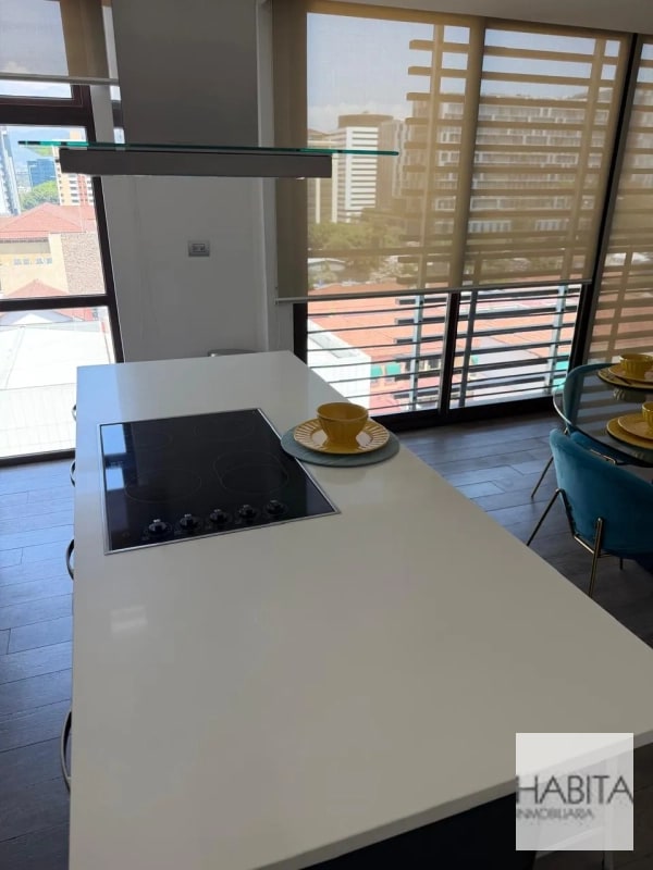 Apartamento Amueblado de 1 habitación en Alquiler, zona 10 - 5