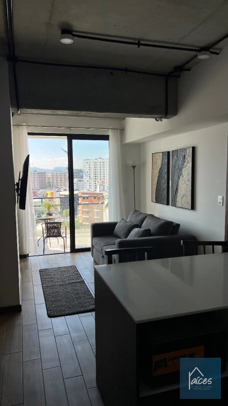 Apartamento amueblado en renta INARA Zona 4 (D) - 1