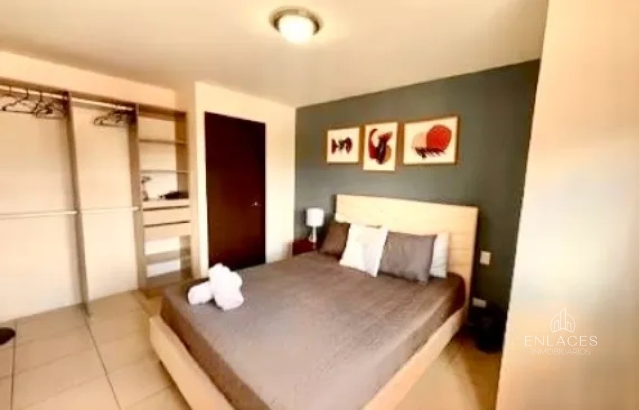 Zona 11 • Apartamento Amueblado en Renta • Parque San Jorge - 7