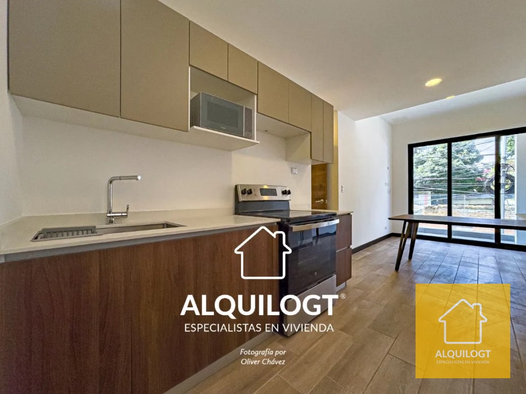 APARTAMENTO AMUEBLADO ZONA 10 DE 1 HAB AGT2689 - 1