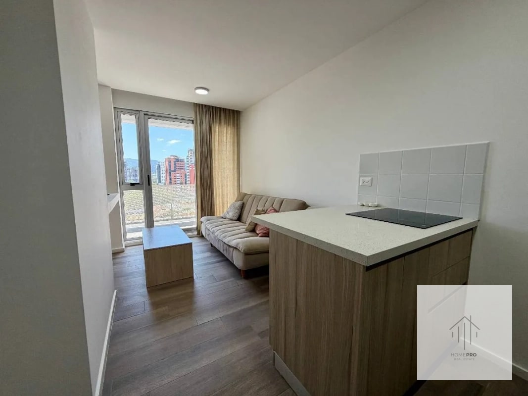 Apartamento Amueblado en Renta en Zona 13 - 1