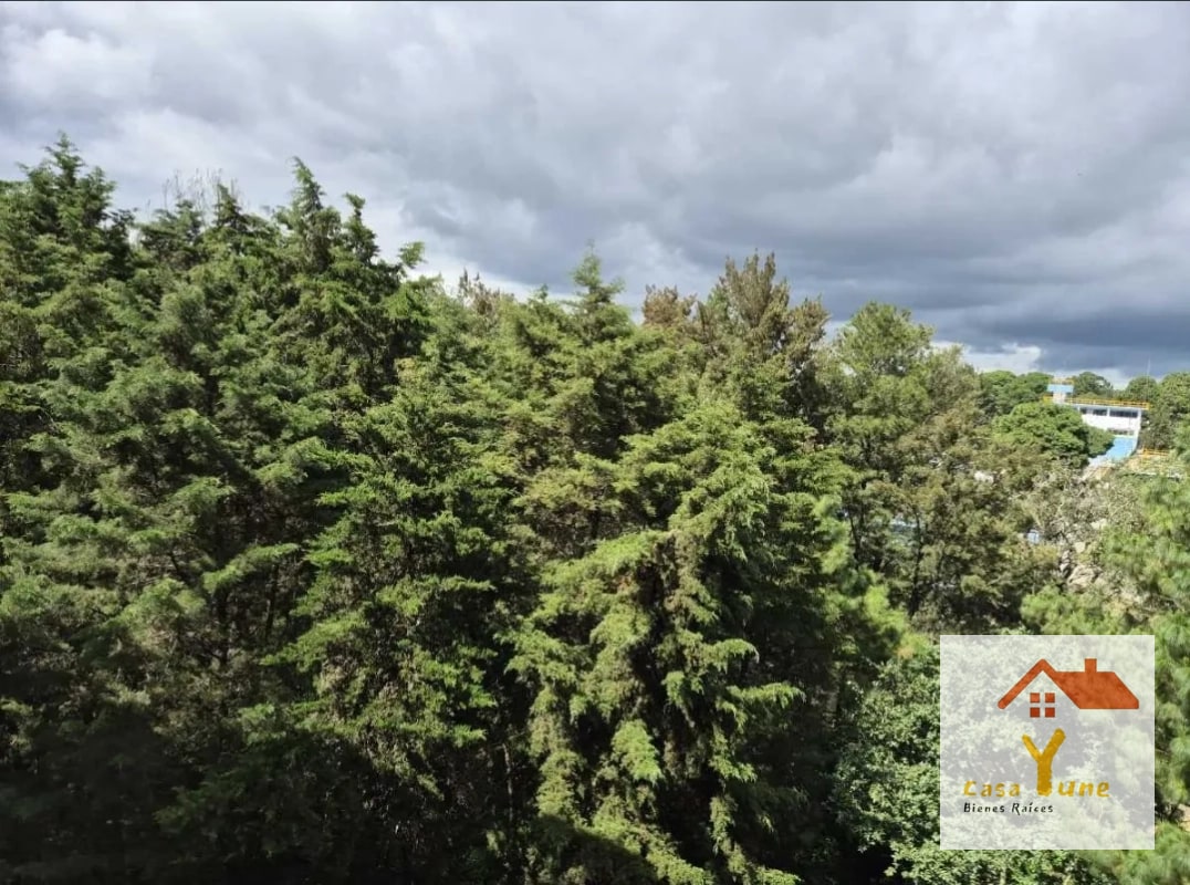Apartamento en alquiler zona 16 San Isidro 2021 - 3