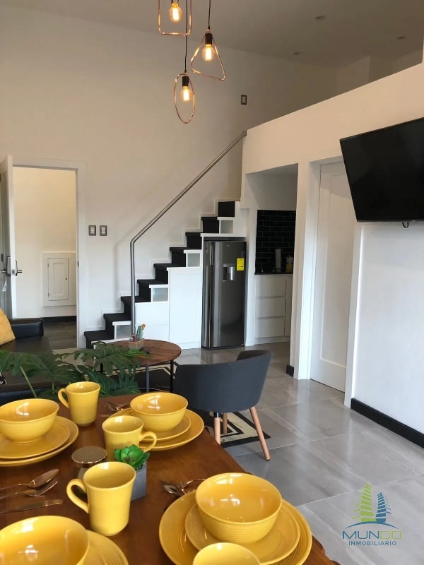 APARTAMENTO AMOBLADO TIPO LOFT EN RENTA, Z. 15 - 11