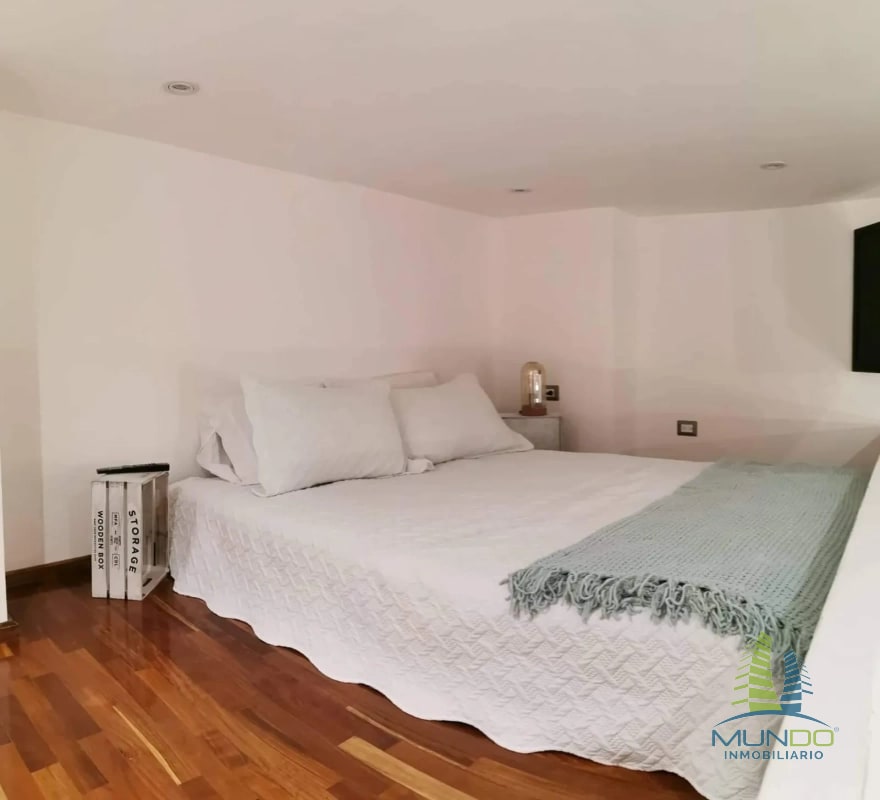 APARTAMENTO AMOBLADO TIPO LOFT EN RENTA, Z. 15 - 10