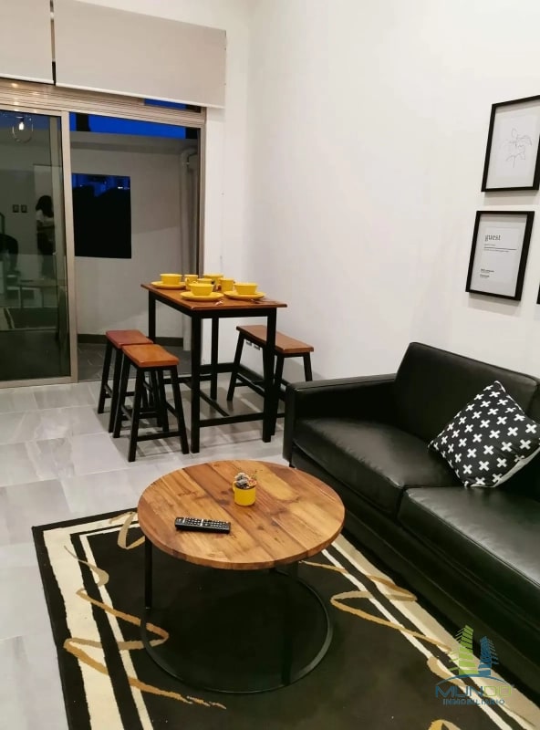 APARTAMENTO AMOBLADO TIPO LOFT EN RENTA, Z. 15 - 8