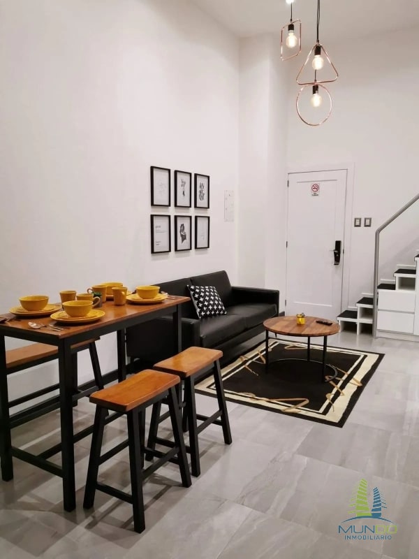APARTAMENTO AMOBLADO TIPO LOFT EN RENTA, Z. 15 - 7