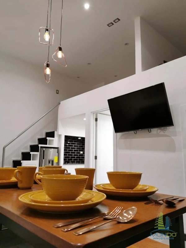 APARTAMENTO AMOBLADO TIPO LOFT EN RENTA, Z. 15 - 6