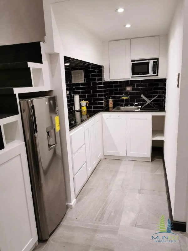 APARTAMENTO AMOBLADO TIPO LOFT EN RENTA, Z. 15 - 5