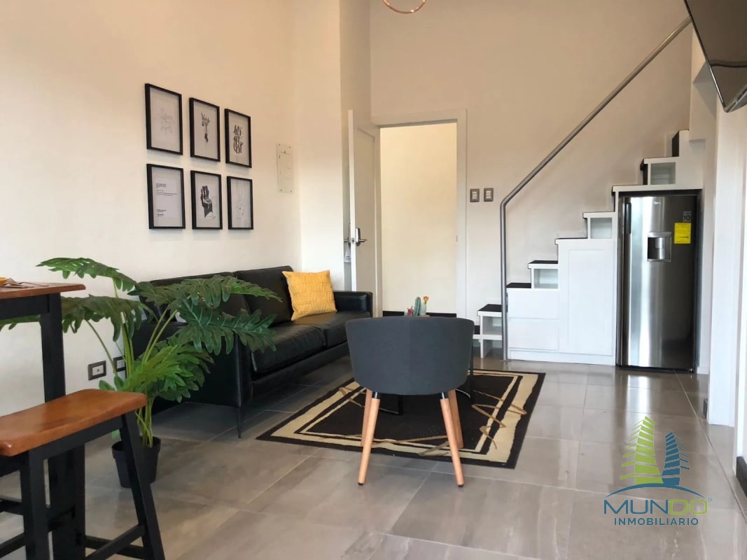 APARTAMENTO AMOBLADO TIPO LOFT EN RENTA, Z. 15 - 4