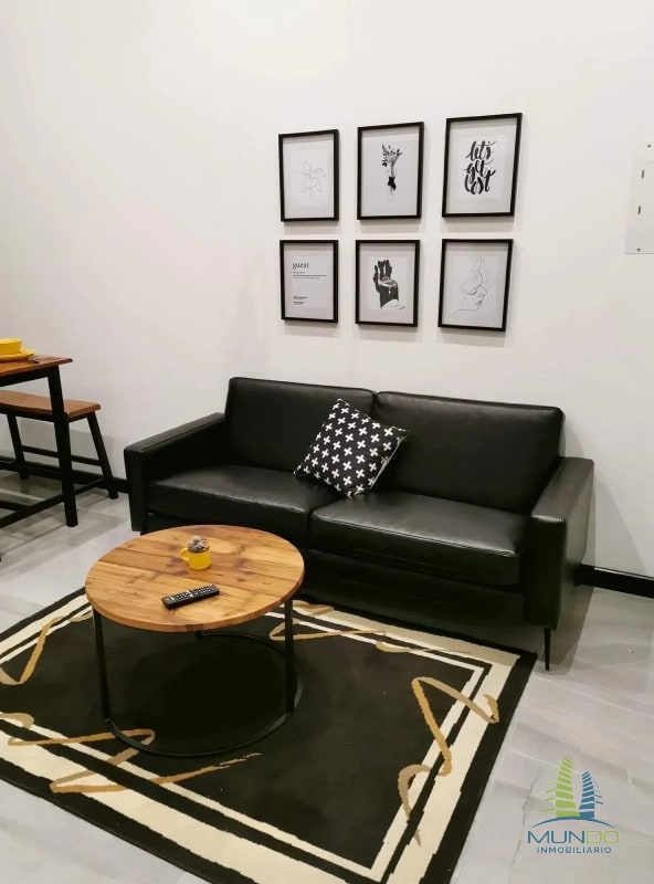 APARTAMENTO AMOBLADO TIPO LOFT EN RENTA, Z. 15 - 3