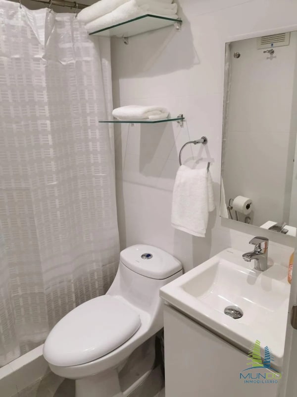 APARTAMENTO AMOBLADO TIPO LOFT EN RENTA, Z. 15 - 2