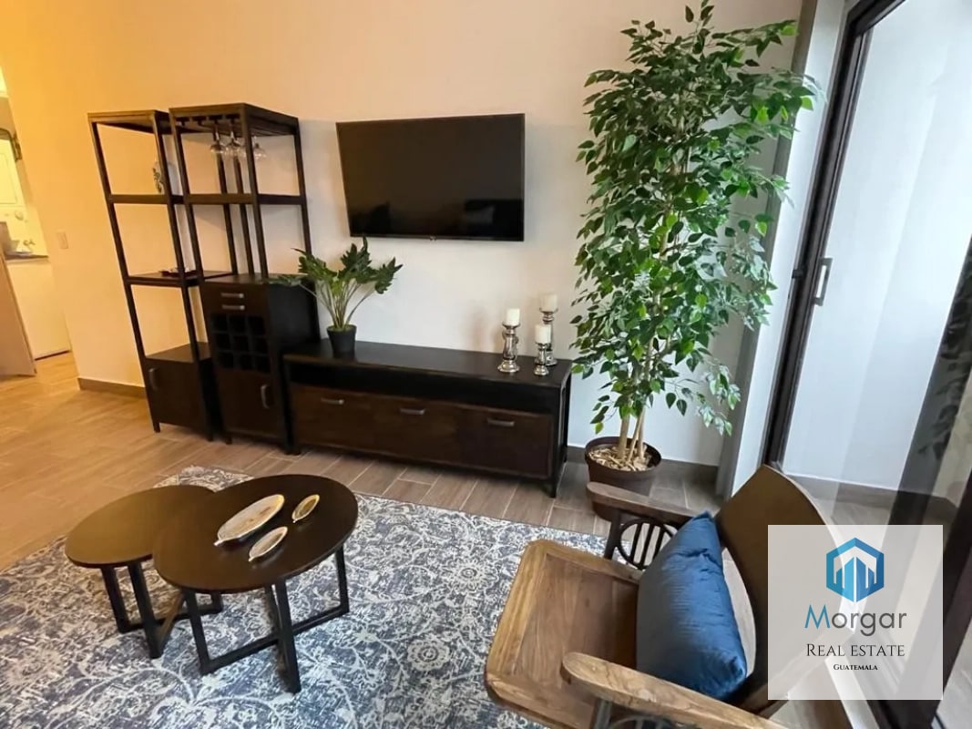 Apartamento amuebaldo en renta - 12