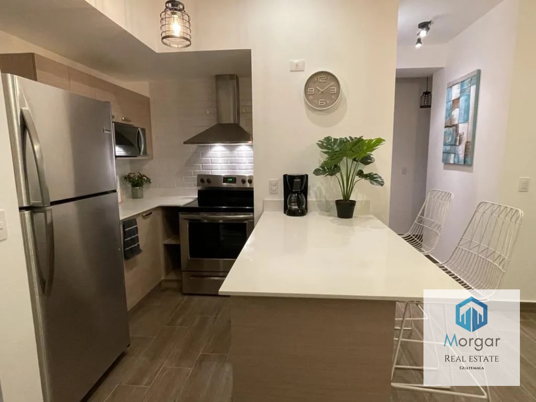 Apartamento amuebaldo en renta - 8